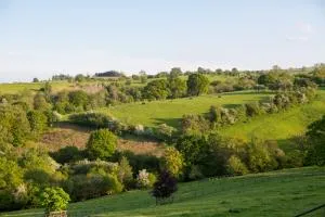 GoldenValley Shepherd's Hut - Craswall