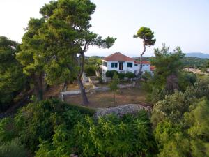Villa Eleni hotel, 
Kefalonia, Greece.
The photo picture quality can be
variable. We apologize if the
quality is of an unacceptable
level.