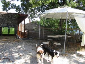 B&B / Chambres d'hotes Ferme des Combettes : photos des chambres