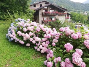 Antica Casa Ortensia