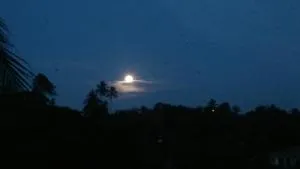 Riverside Suites - Lewella