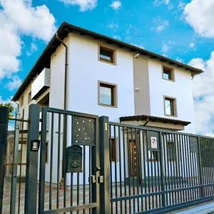 Elena Haus - Romînaşi