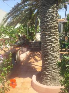 Relax sul mare di Sicilia