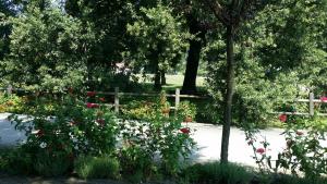 Scuderia 100 pertiche