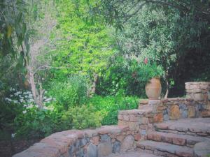 Auberge des Cascades Imouzzer - Paradise Valley