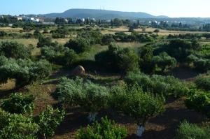 Theofilos Appartements Kythira Greece