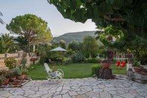 Olive Tree Apartment Zakynthos Greece