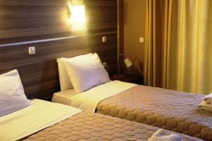 Park Hotel Polykastro