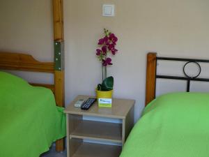 Mary Apartments Pieria Greece