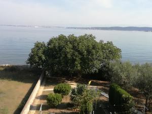 3 star apartma Apartment Marija Ždrelac Hrva&scaron;ka