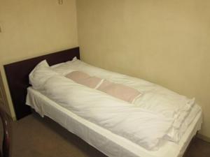 Aoi Business Hotel