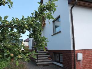 Cozy Apartment in Rerik Germany, 600 m from Beach