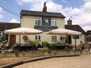 Chelmsford Bed And Breakfast Cheap Hotel And Guest House