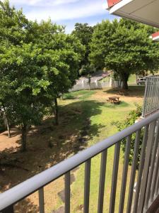 Michel Holiday Apartments