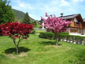 Penzion Ca'Milla B&B Pieve di Cadore Itálie