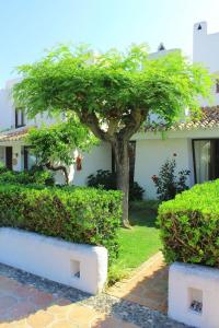 Estepona - Playa - 1 dormitorio al lado del mar Pi40