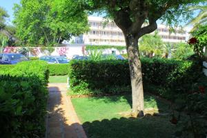 Estepona - Playa - 1 dormitorio al lado del mar Pi40