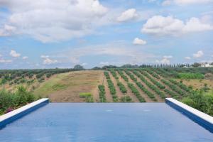 Momentum Wellness Bioresort