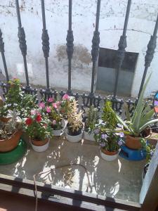 Apartamento Casa Tita Aguafría