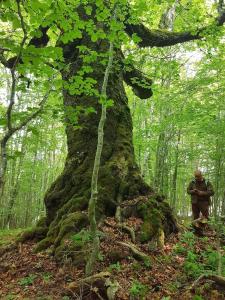 Къща за гости "Орлец"