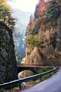 Къща за гости "Орлец"