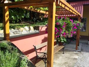 Apartments Vita Center