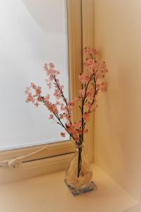 Bright modern house beside Snowdonia