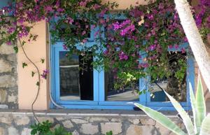 Nicolas Apartments Lasithi Greece