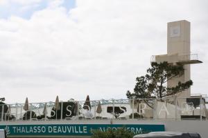 Appartements à Deauville dans Triangle dOr