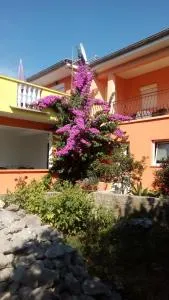 Apartments Mirjana - Gornje Petrčane