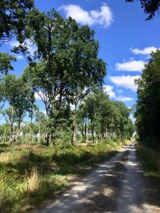 B&B / Chambres d'hotes Les Glycines de Bougy : photos des chambres