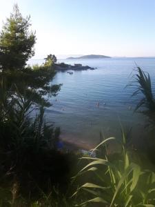 Maria Gerokonstanti Studios