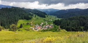 Къща за гости "Орлец"