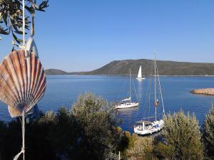 Odyssia near the Seaside Alonissos Greece