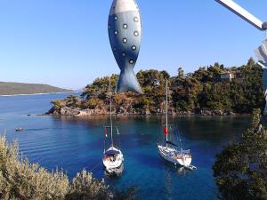 Odyssia near the Seaside Alonissos Greece