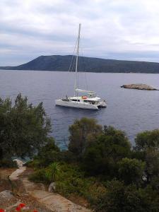 Odyssia near the Seaside Alonissos Greece