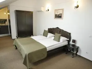 Sibiu City Center Apartments - 锡比乌