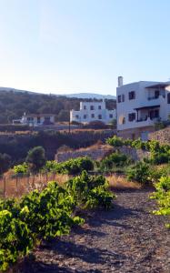 Limnes Home Naxos Greece