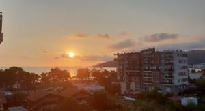 Shengjin - Helios Home