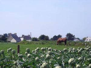 Maisons de vacances Roscoff Santec Maison Mer Bretagne : photos des chambres