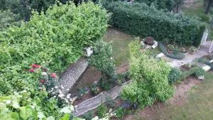 Apartments Frkovic - Ledenice