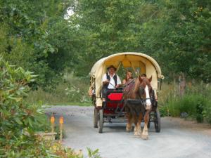 Les Roseaux de Callac photo 21