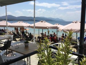 Evia Dream