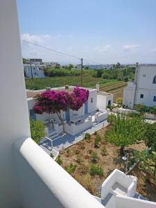 Yiannis Studios Paros Greece