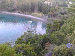 Odyssia near the Seaside Alonissos Greece