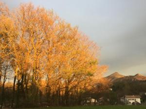 B&B / Chambres d'hotes Apitoki - Chambres d'hotes au Pays Basque : photos des chambres