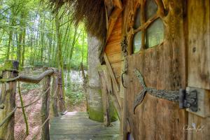 Sejours a la campagne L'Arbre a Cabane : photos des chambres