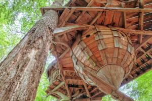 Sejours a la campagne L'Arbre a Cabane : Chambre Double - Vue sur Jardin