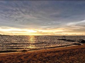 The Palm Beach Front