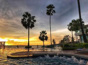 The Palm Beach Front